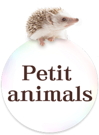 Peit animals